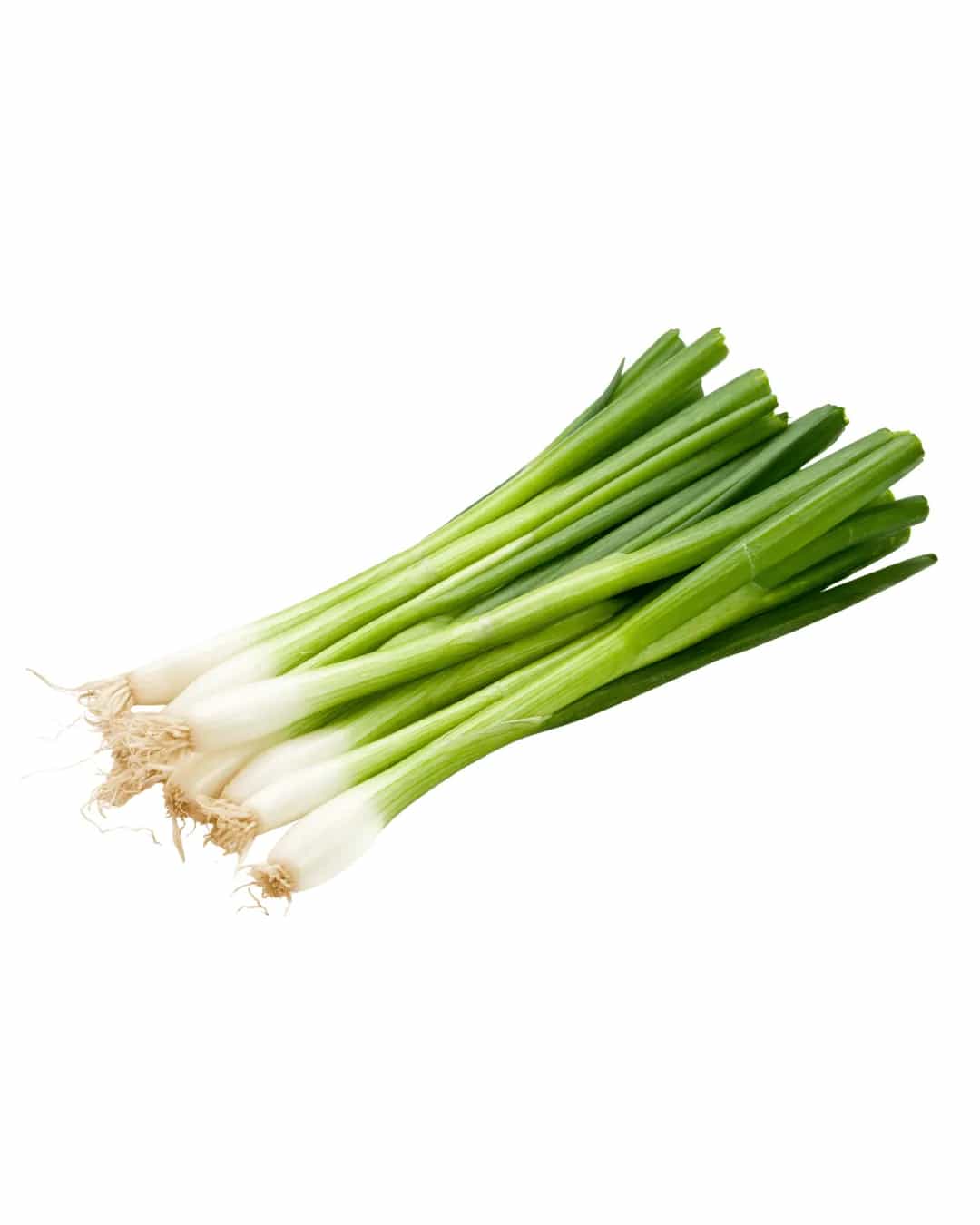 Scallium-green Onion - Food Fair