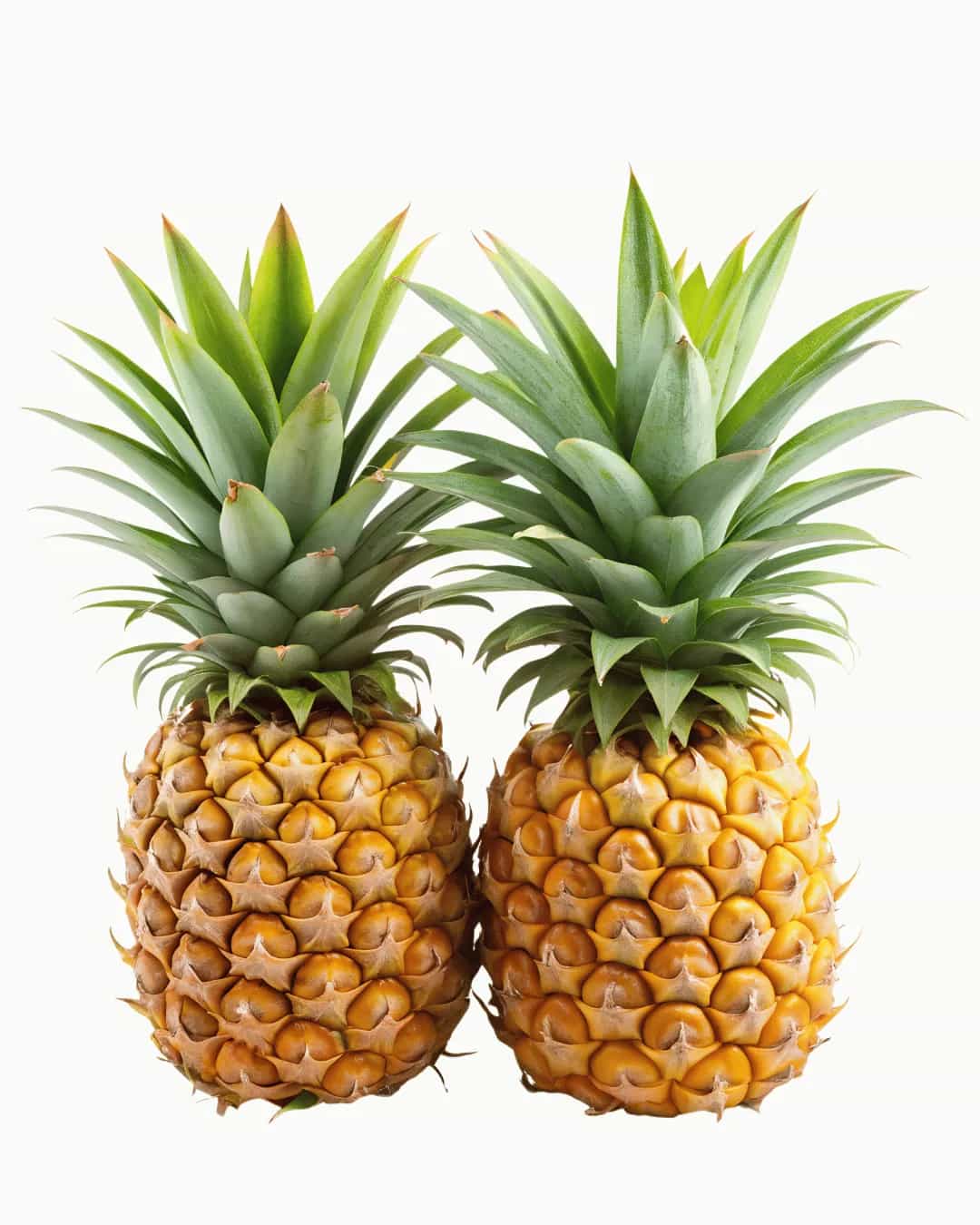 Fresh Pineapple - Food Fair