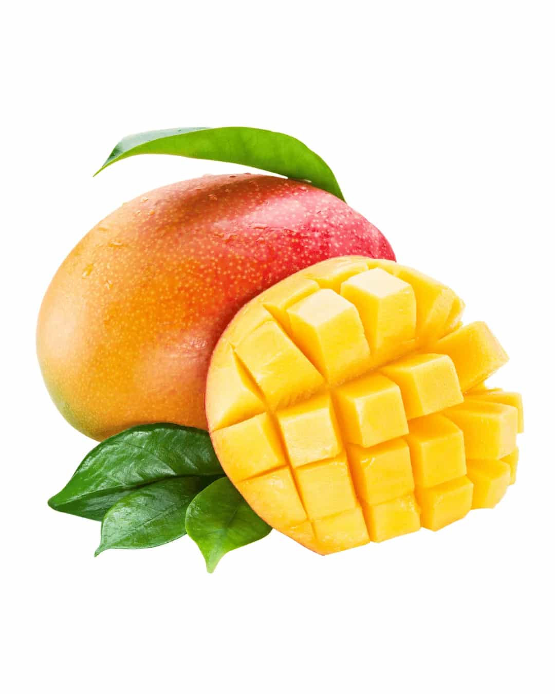 Mango - Food Fair